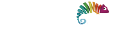 WebFormas Empresa de Marketing Digital em São Paulo